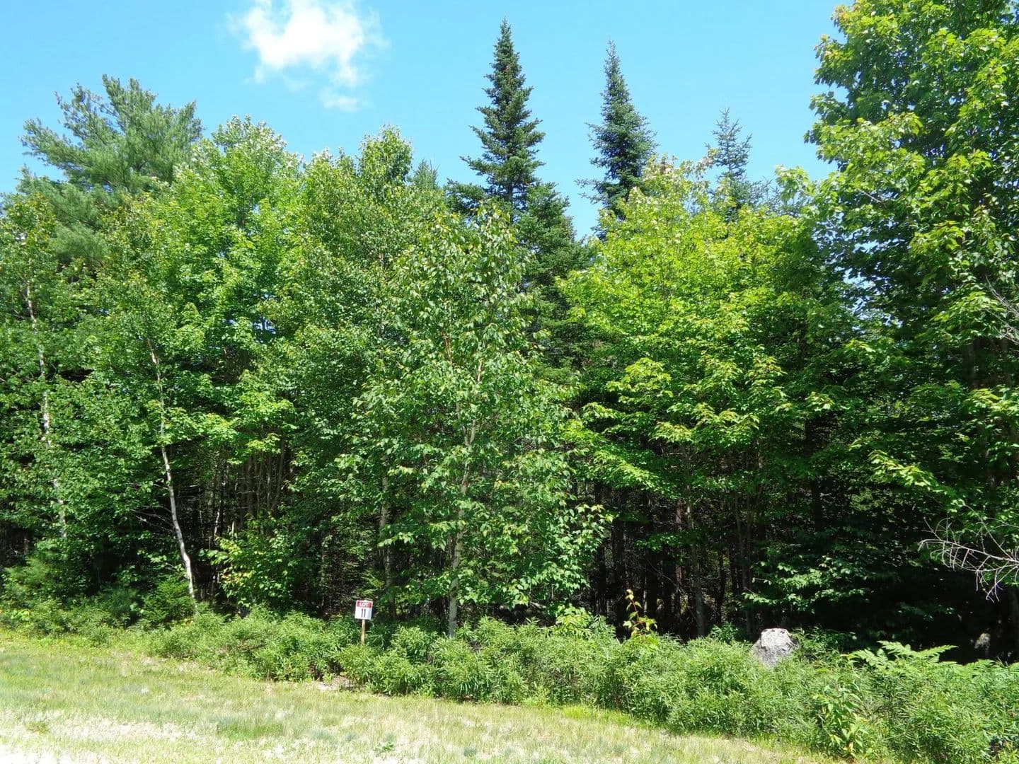 Land -Single Family Acreage in Franklin - land for sale