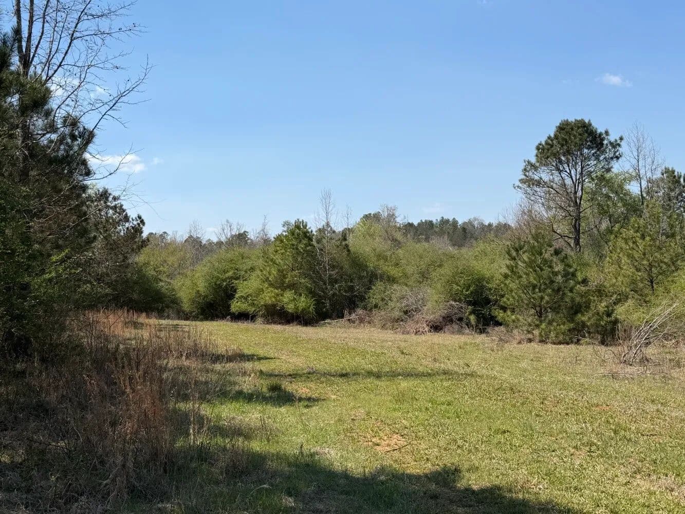 Hubbertville Hunting Tract - land for sale