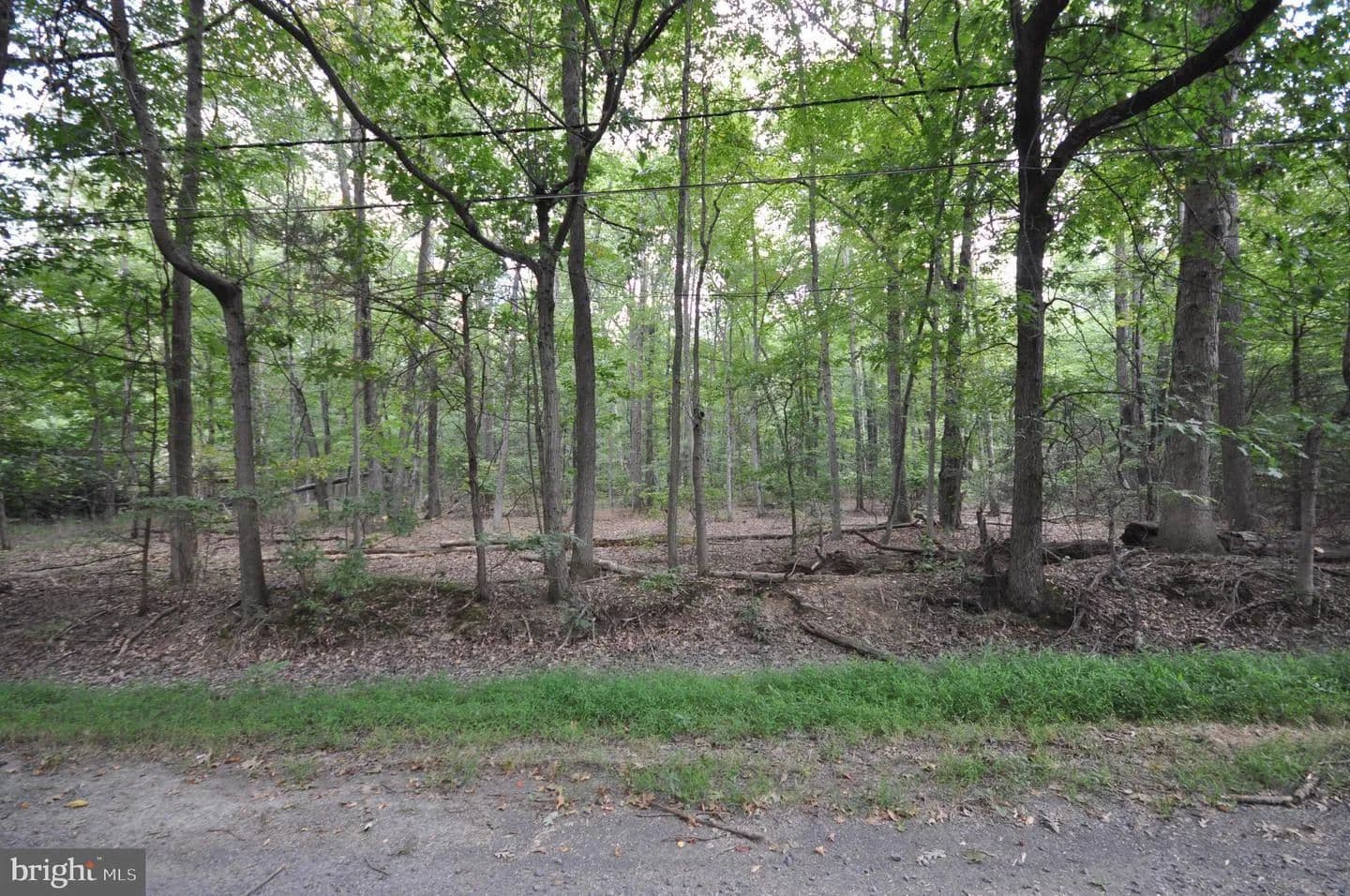 Vacant Land in Kendall Park - land for sale