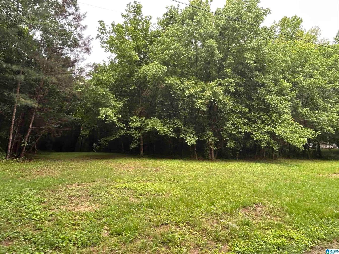 Property from 525 POPLAR LANE #1 Acre - KW - Helena, Alabama, 35244