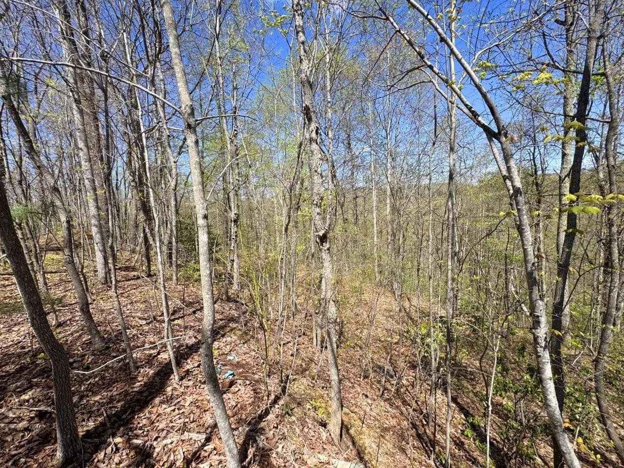 94.4 Acres of Land for Sale in Beckley, West Virginia - Beckley, West Virginia, 25802