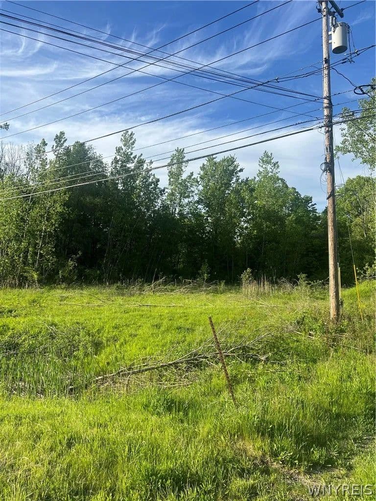 Property from Ellicott Road - KW - Orchard Park, New York, 14127