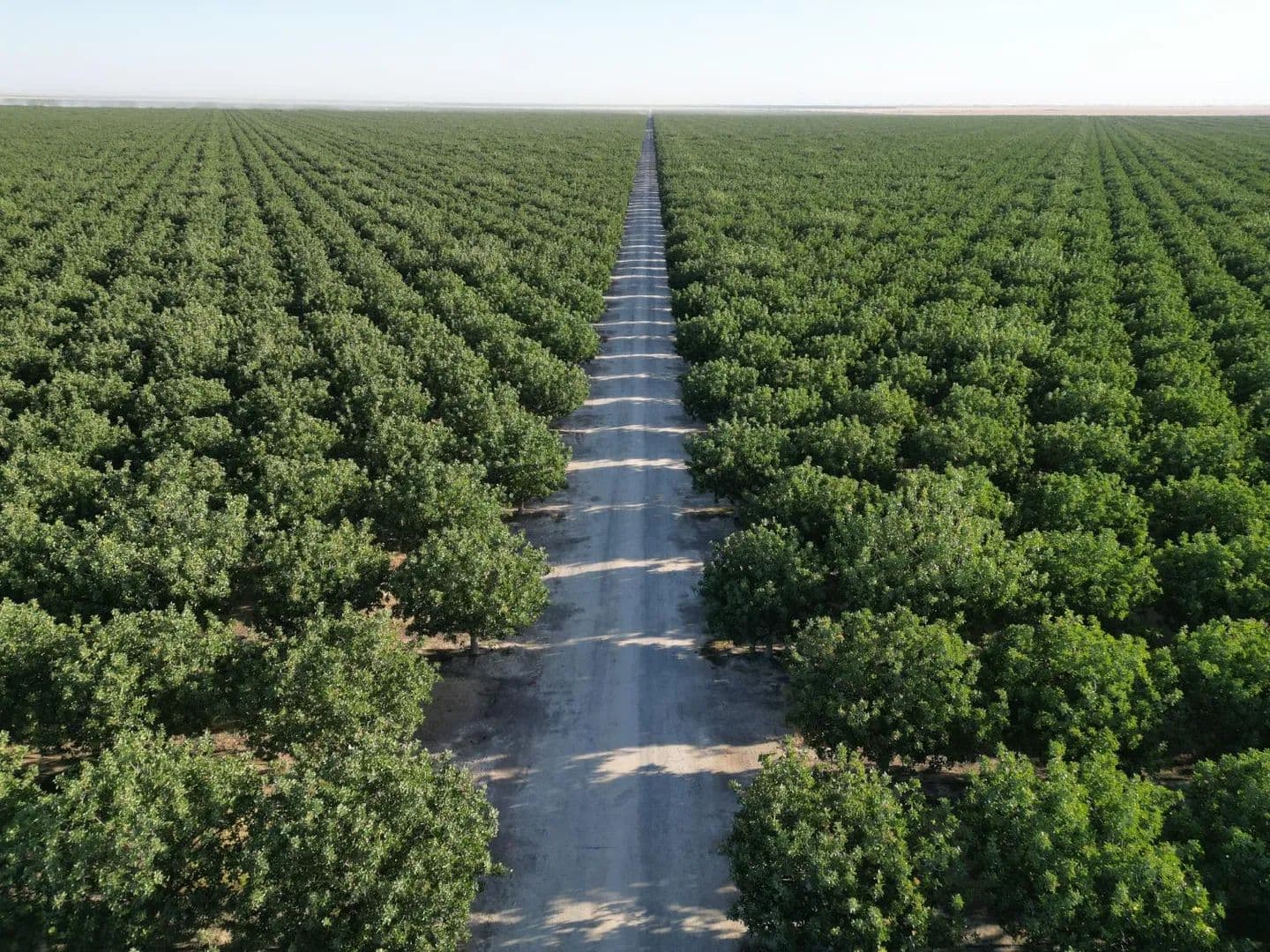Property from 0 Avenue 16 - KW - Delano, California, 93215