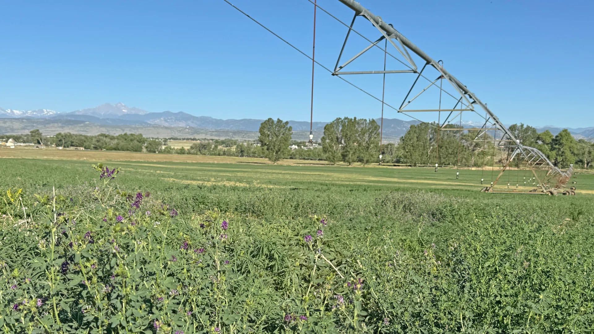 Kerr Heritage Farm - Berthoud, Colorado, 80513