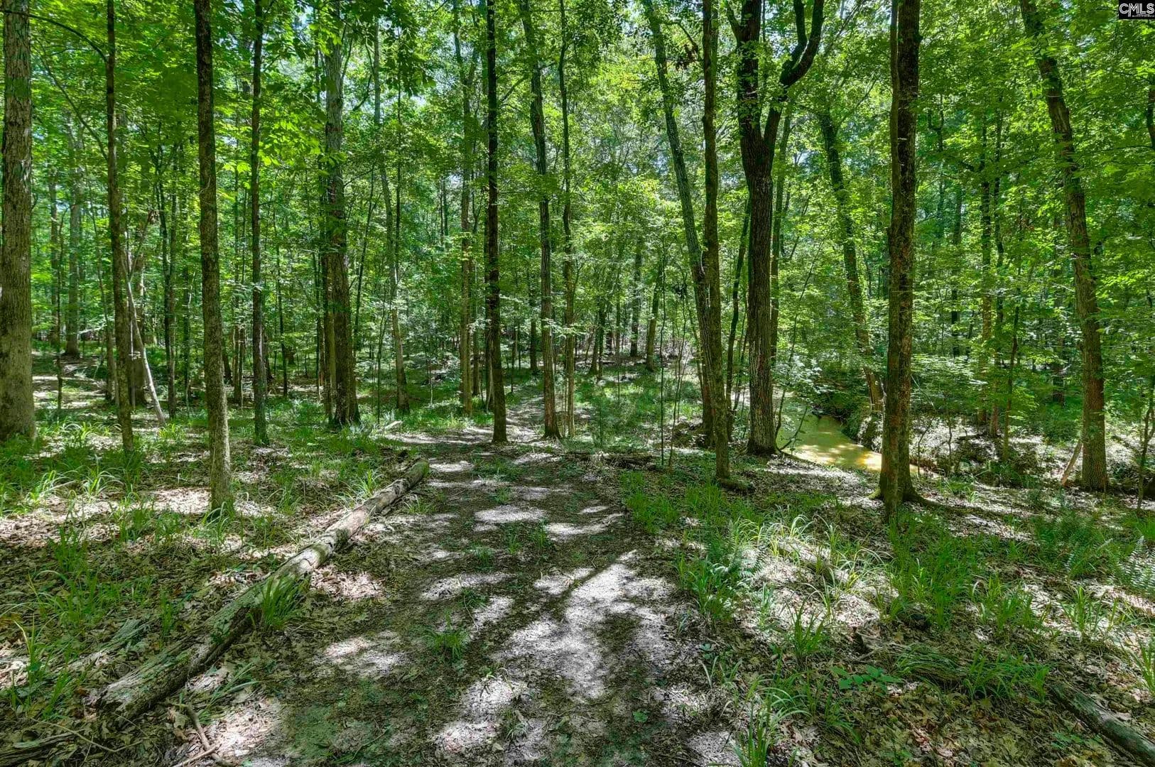 Vacant Land in Blythewood - Blythewood, South Carolina, 29016