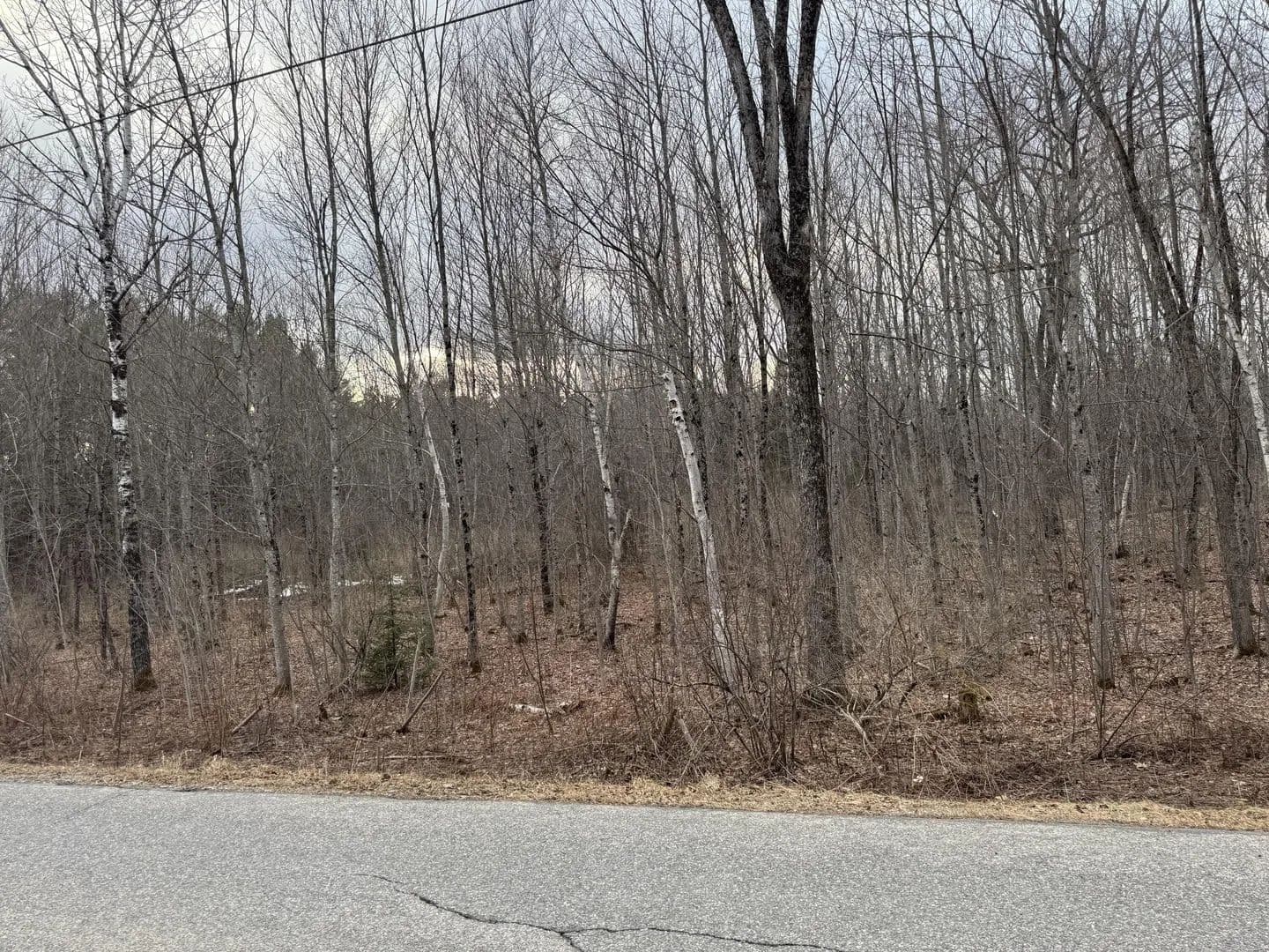 21.61 Acres of Land for Sale in China, ME - China, Maine, 04358