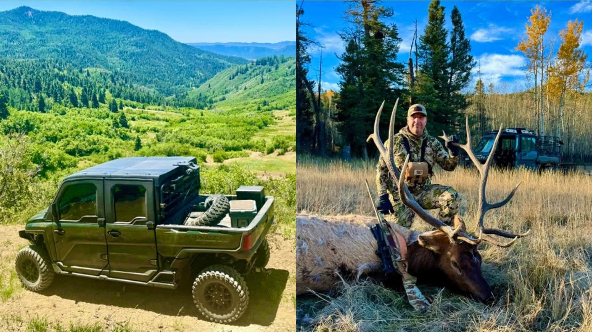 Chromo Mountain Elk, Land and Cattle Ranch - Chama, New Mexico, 87520