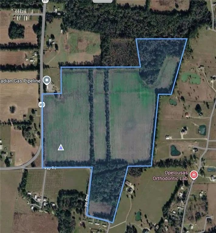 124 Acres of Land for Sale in Opelousas, Louisiana - Opelousas, Louisiana, 70570