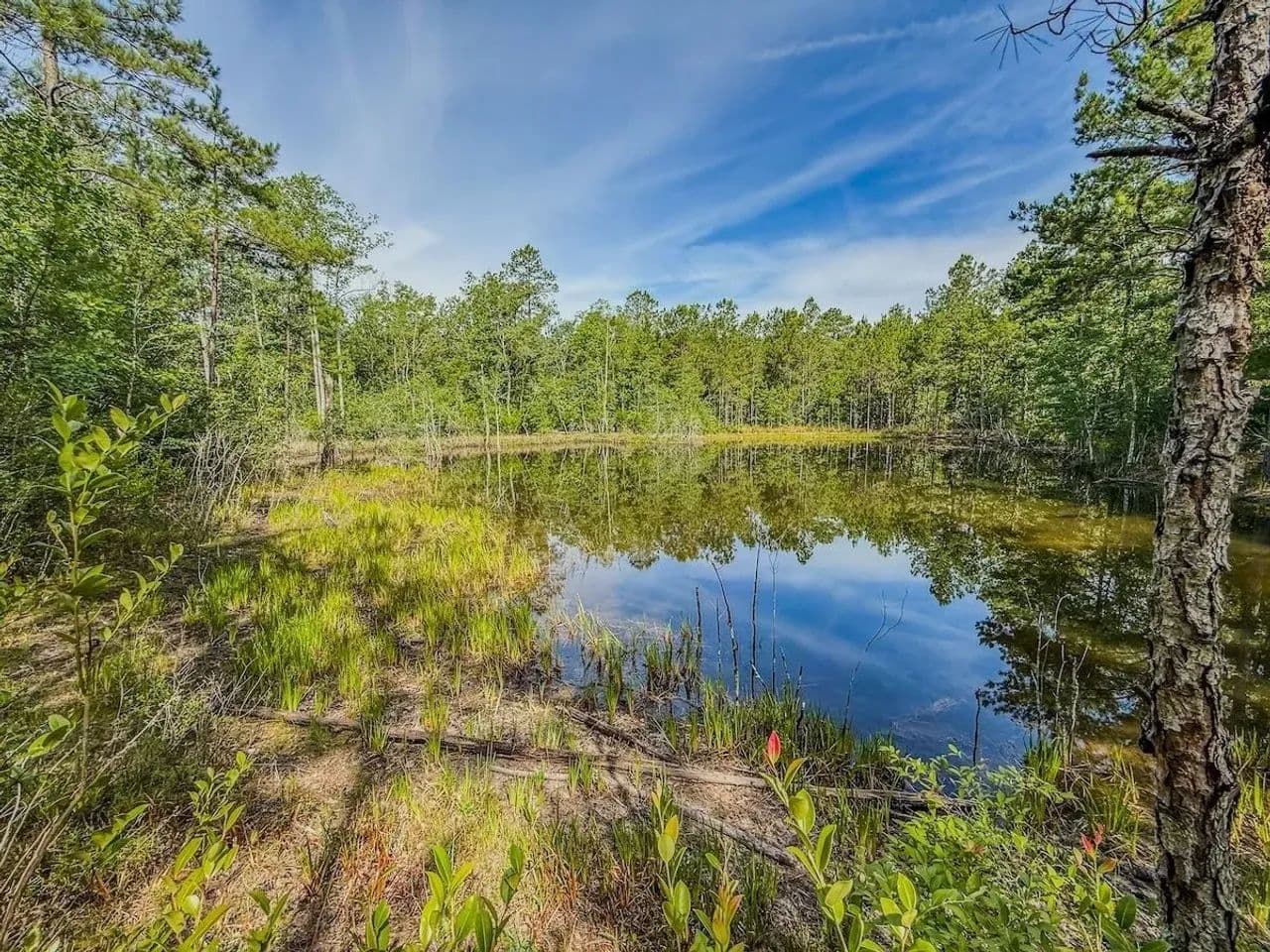 17.1 acres of residential/recreational Land For Sale in Chesterfield County SC! - Patrick, South Carolina, 29721