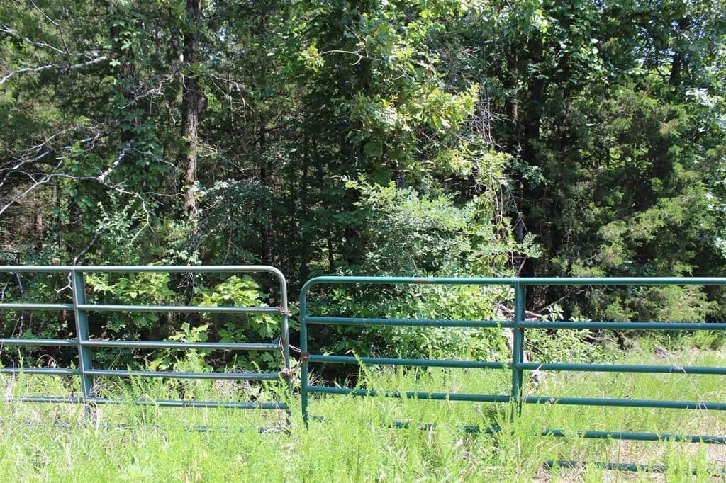 Property from Lts. 17&18 MC 8126 - KW - Flippin, Arkansas, 72634
