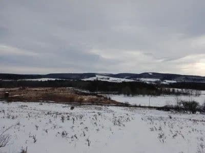 Highland Forest Heaven