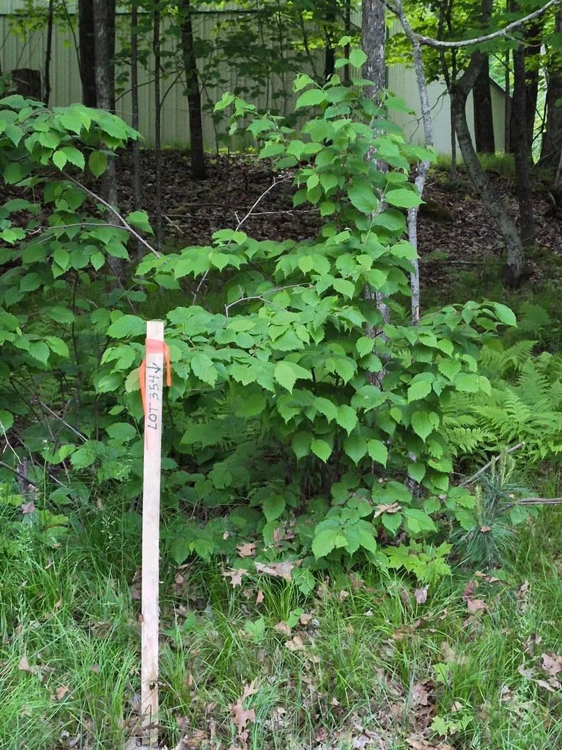 Property from TBD LOT 354 195th Place - KW - Mcgregor, Minnesota, 55760
