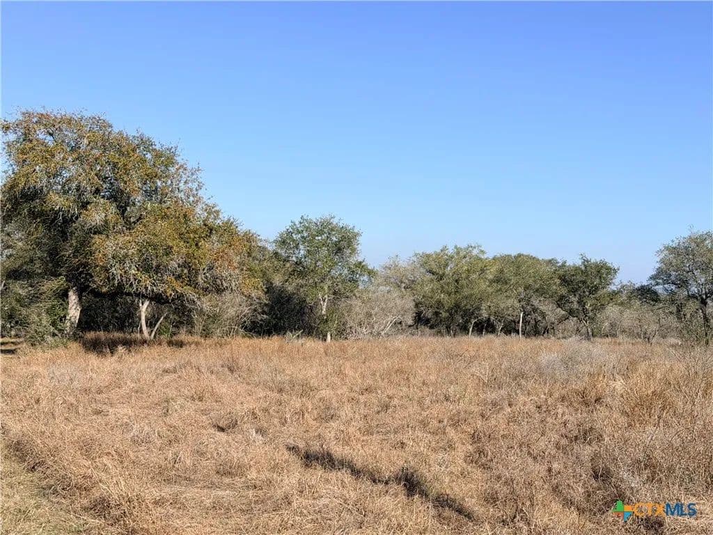 5.98 Acres of Land for Sale in Goliad, Texas - Goliad, Texas, 78746