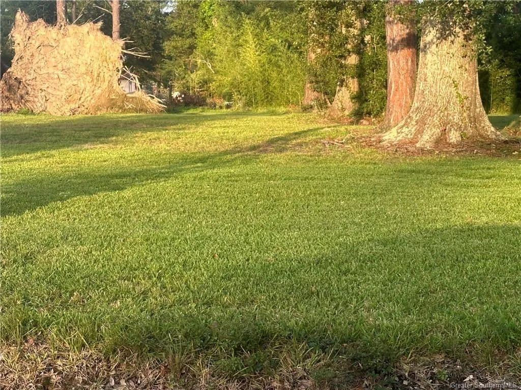 Lots & Land-Other in Dequincy - Dequincy, Louisiana, 70633