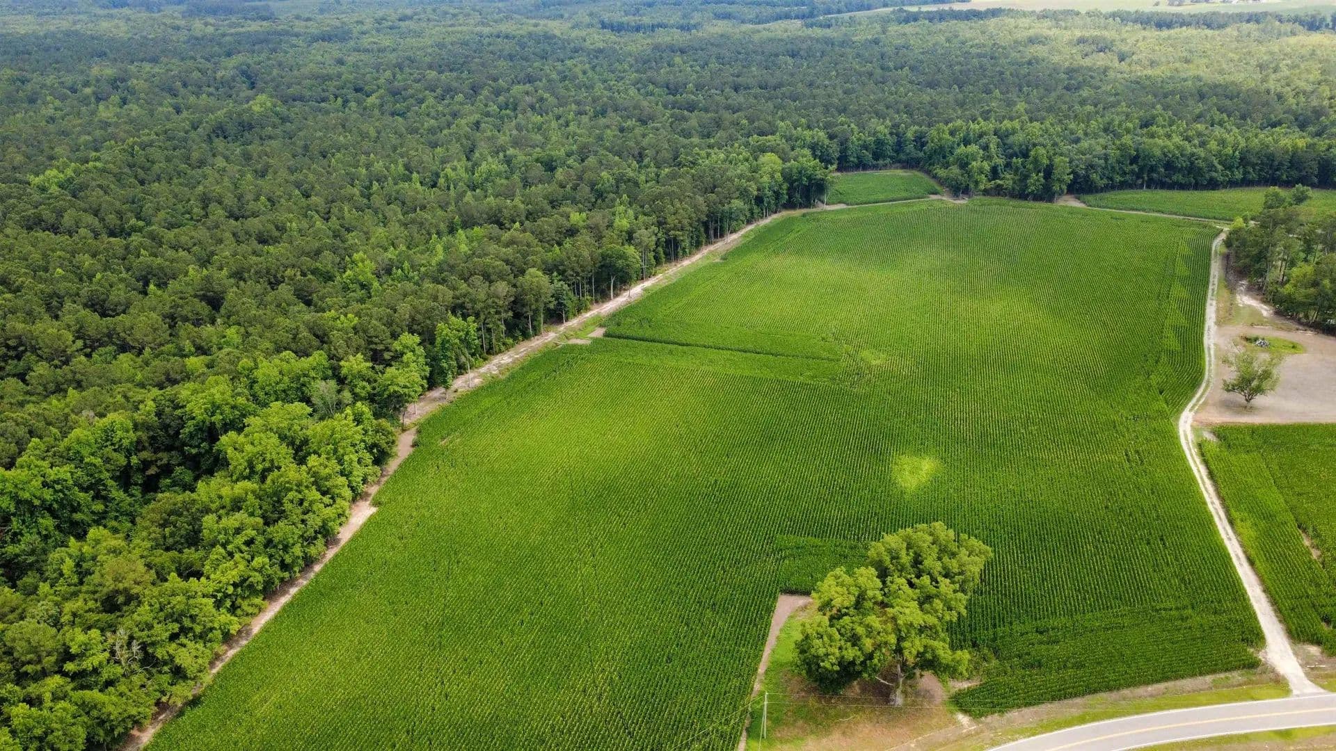 Property from TBD (Tract 6) Long Branch Swamp Rd. - KW - Green Sea, South Carolina, 29545