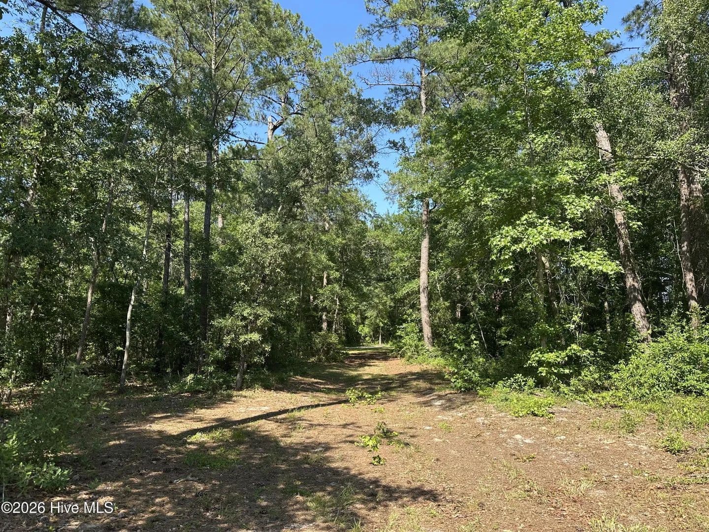 0.73 Acres of Land for Sale in Atkinson, NC - Atkinson, North Carolina, 28421