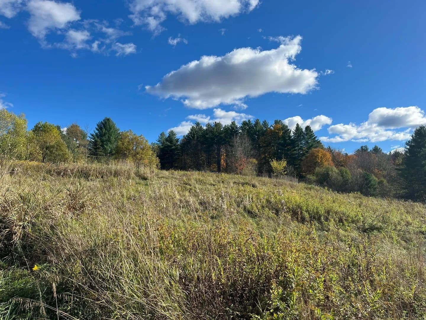 Property from 0 Old Farm Road - KW - Stowe, Vermont, 5672