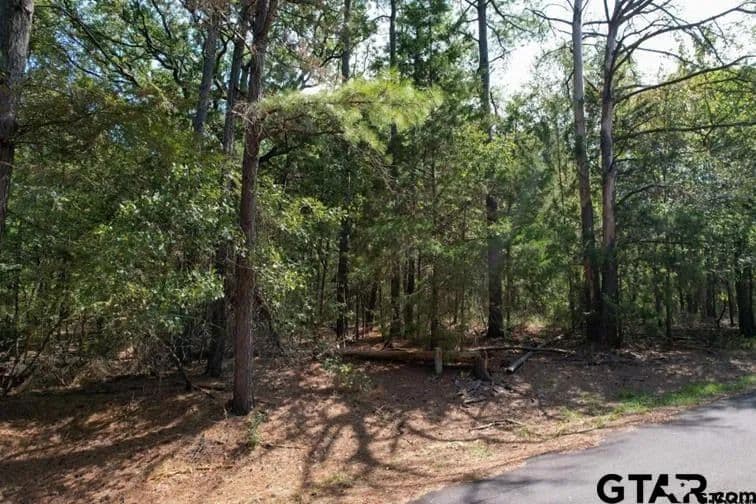 0.23 Acres of Land for Sale in Mt Vernon, Texas - Mt Vernon, Texas, 75457