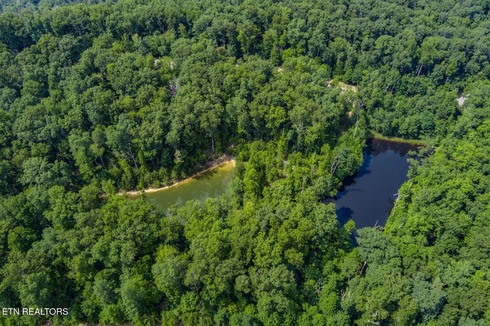 Property from 119 Westridge Tr - KW - Monterey, Tennessee, 38574