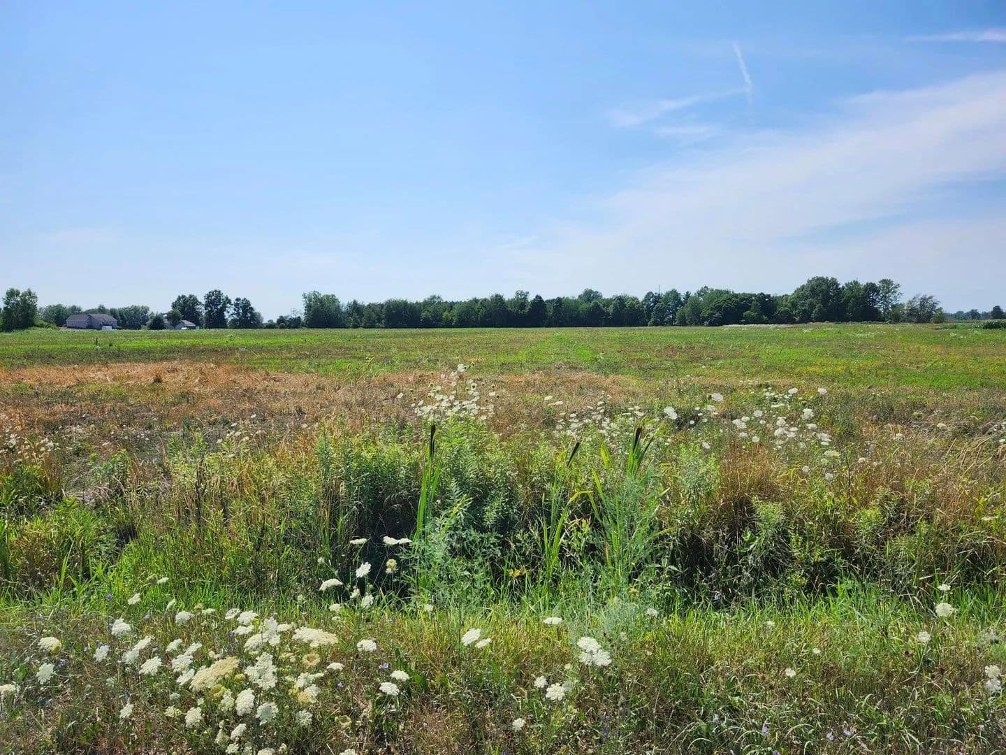 Property from 5425 88th Avenue - KW - Zeeland, Michigan, 49464