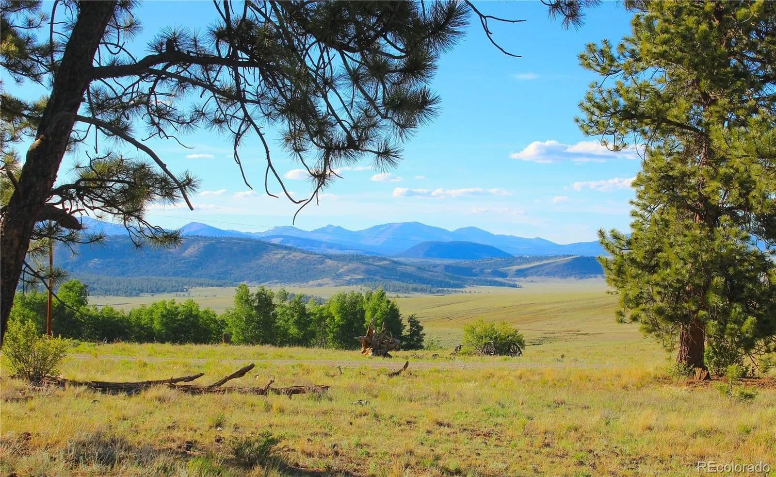 2.5 Acres of Land for Sale in Hartsel, CO - Hartsel, Colorado, 80449