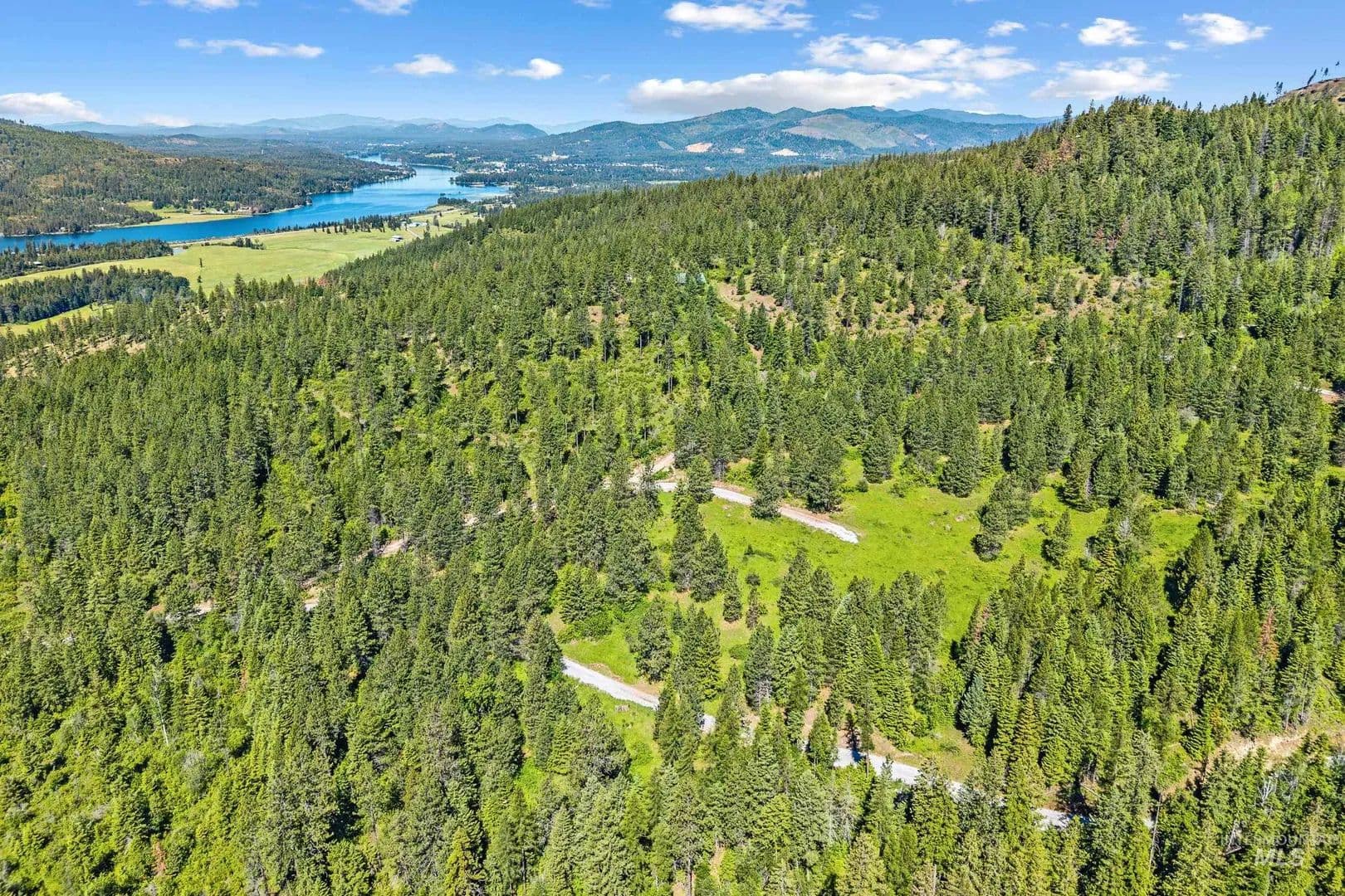 40 Acres of Land for Sale in Priest River, ID - Priest River, Idaho, 83856