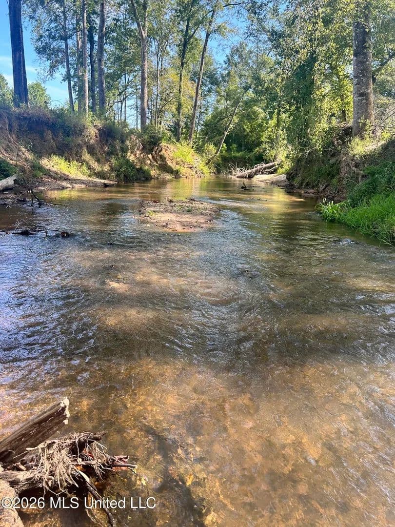 21 acres near Prentiss, Mississippi - land for sale