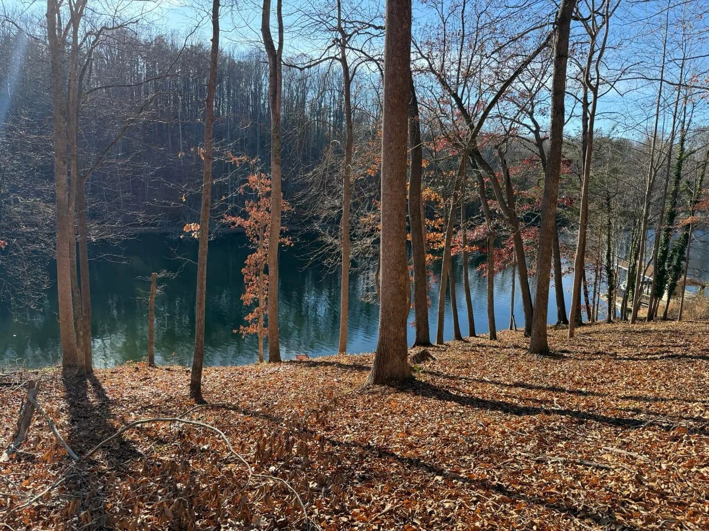 Property from Lot 3 Aspen WAY - KW - Moneta, Virginia, 24121