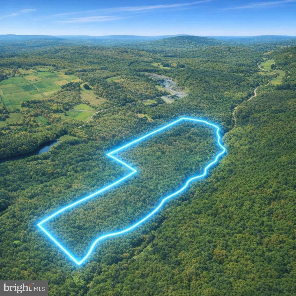 129.3 Acres of Land for Sale in Pleasant Mount, Pennsylvania - Pleasant Mount, Pennsylvania, 18453