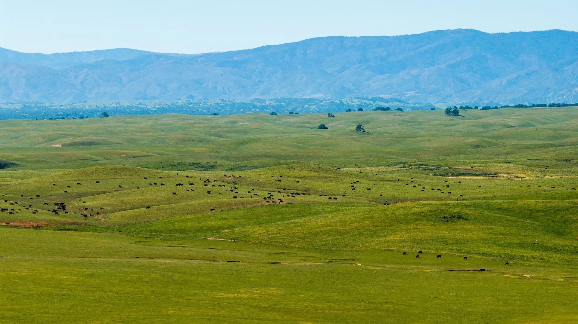 Carpenter Ranch - Red Bluff, California, 96021
