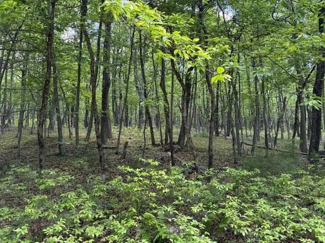 Property from Lot 249-Maple Lane - KW - Jim Thorpe, Pennsylvania, 18229