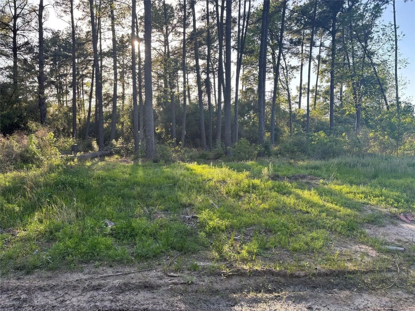 Lots & Land-Other in Houston - Houston, Texas, 77073