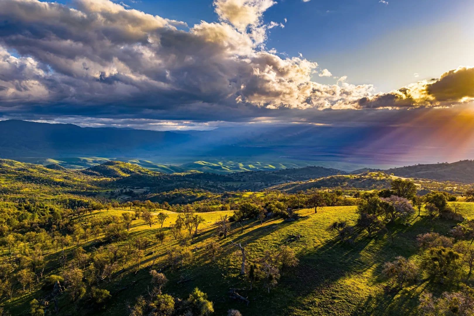 Black Oaks Ranch - Tehachapi, California, 93561
