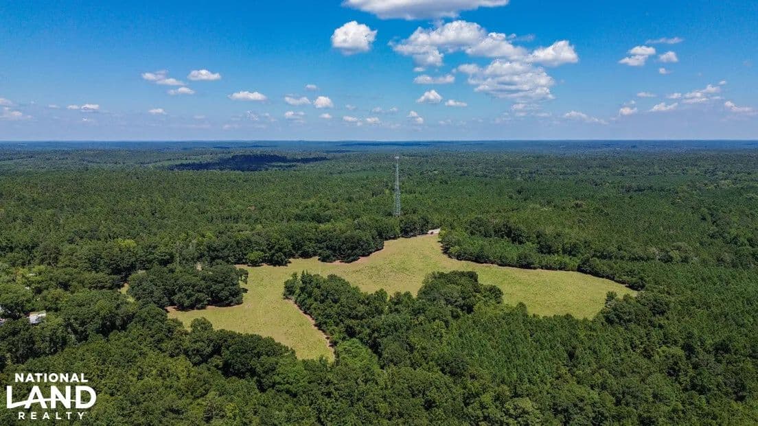 Wilcox Home Site, Fenced Pasture and Hunting Tract - Pine Apple, Alabama, 36768
