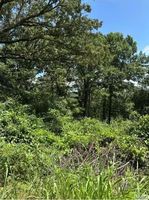 Property from Plat 9 Lot 22 - KW - Van Buren, Missouri, 63965