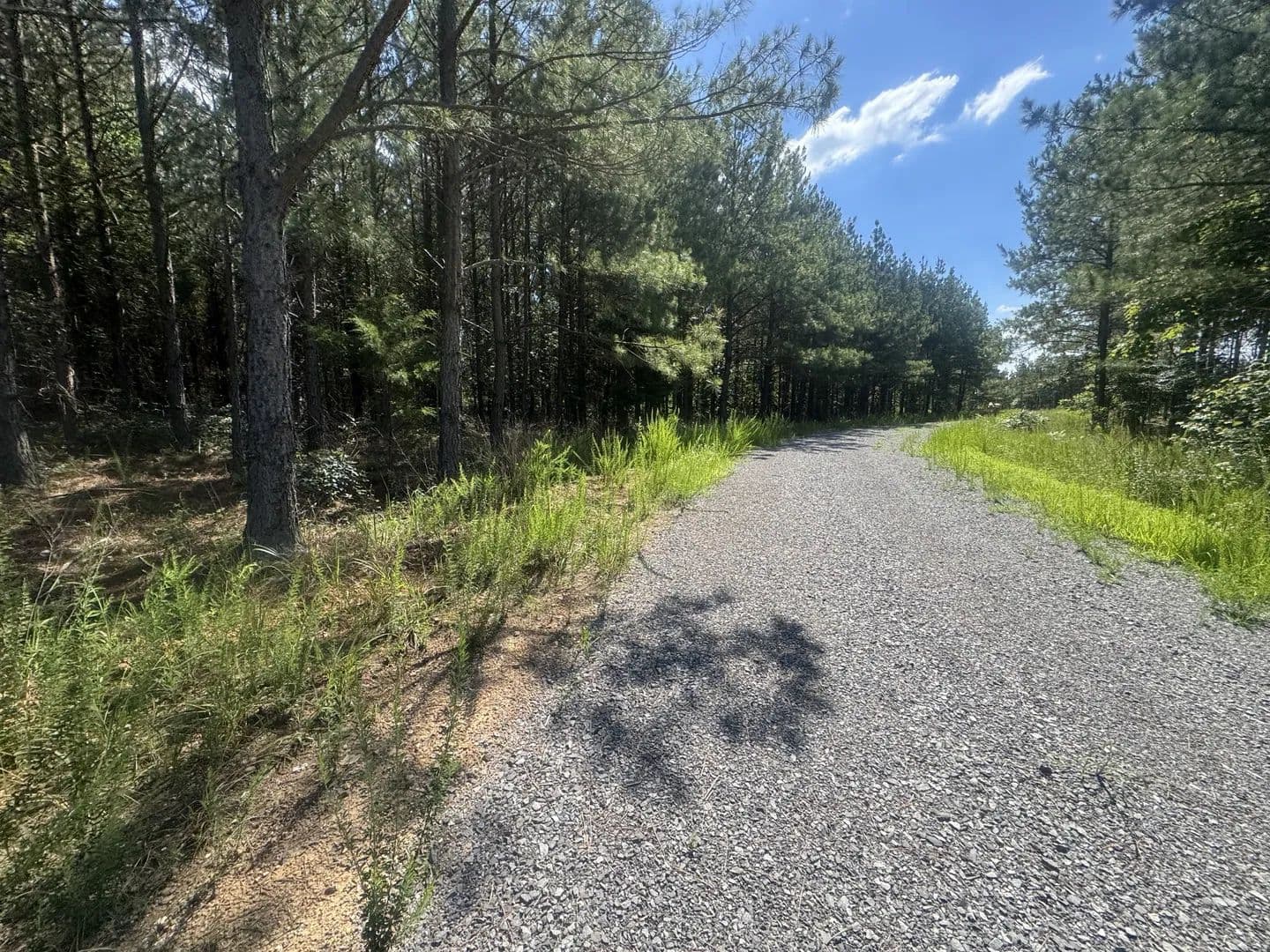 16.9 Acres of Land for Sale in Dover, Tennessee - Dover, Tennessee, 37058