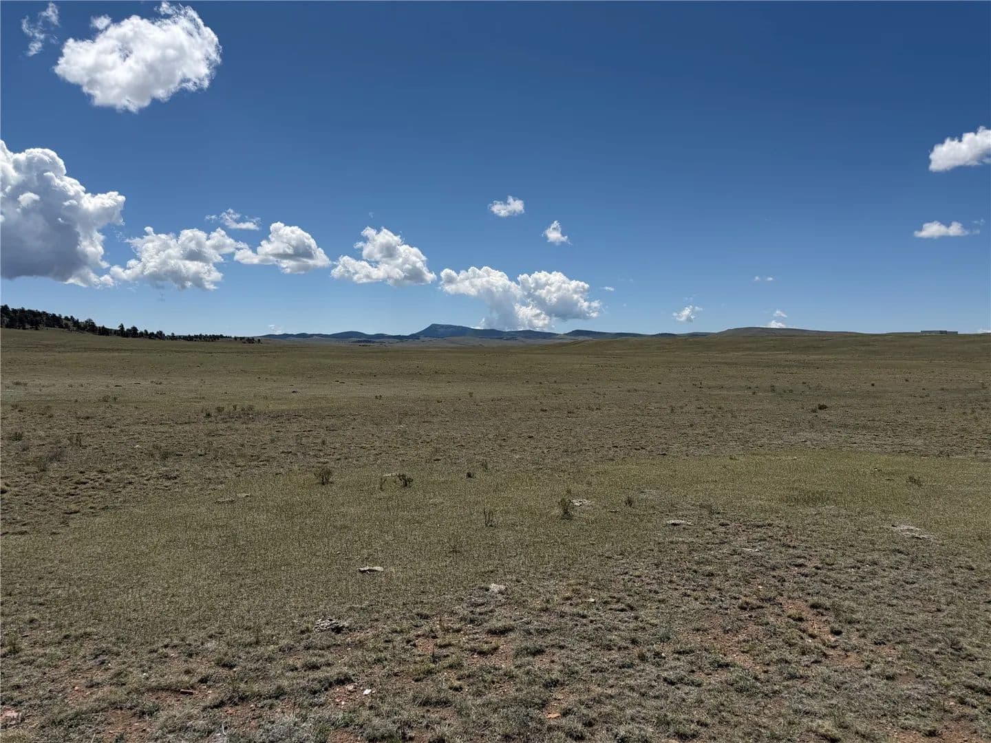 5.3 Acres of Land for Sale in Hartsel, Colorado - Hartsel, Colorado, 80449