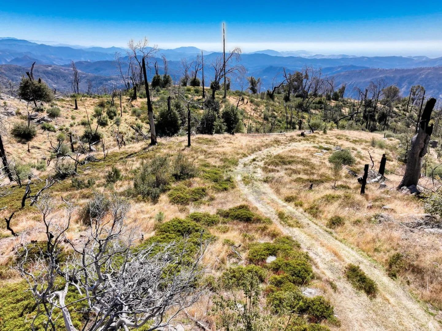 Property from 11111 Lower Cressman Road - KW - Shaver Lake, California, 93664