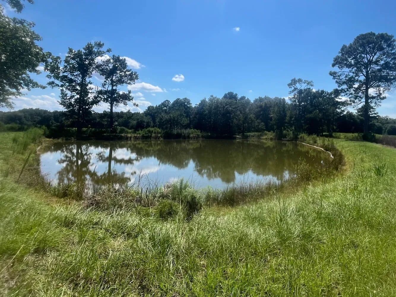 Pea River Farm - New Brockton, Alabama, 36351