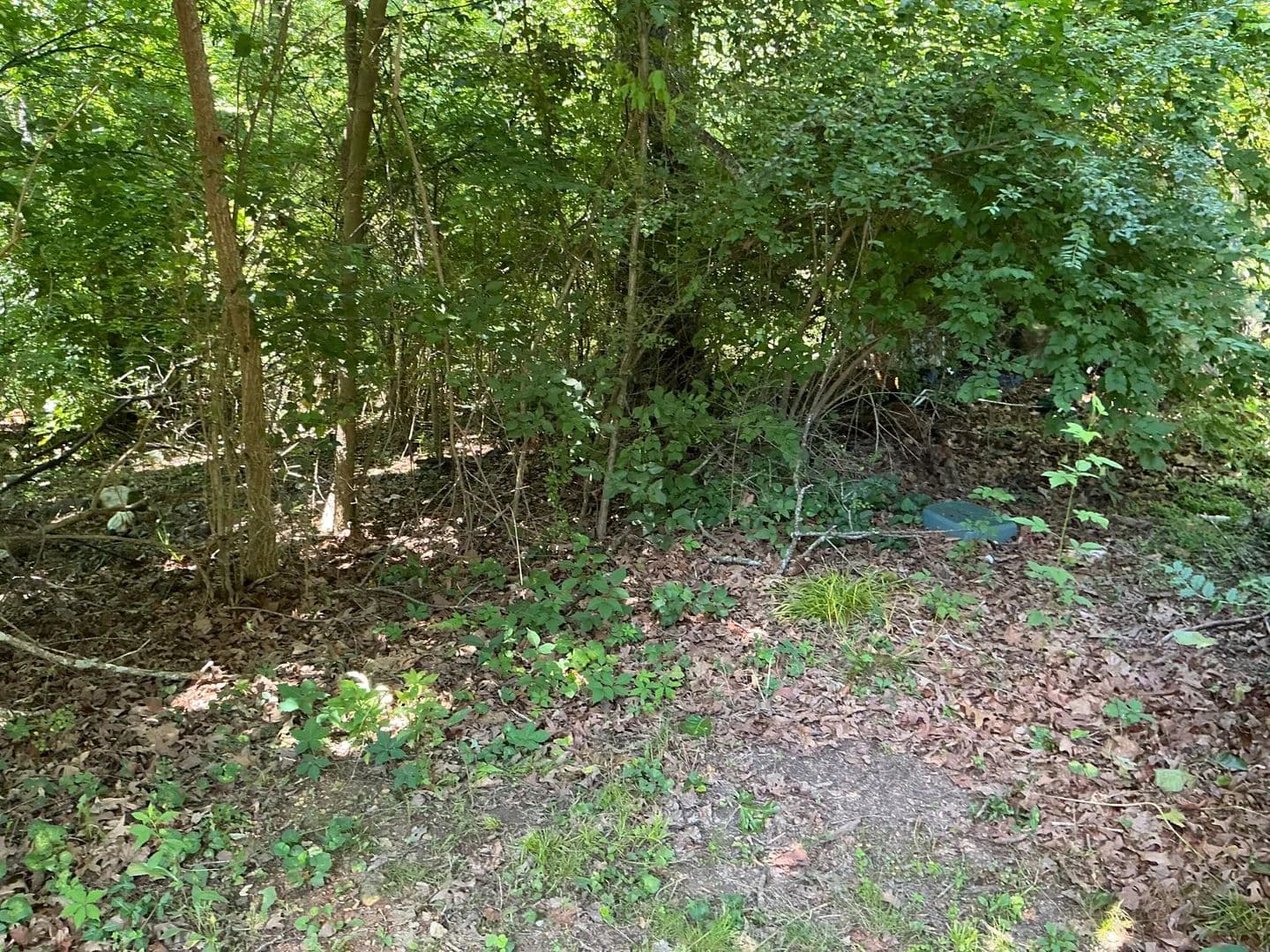 Property from 000 Winding Lane - KW - Hixson, Tennessee, 37343