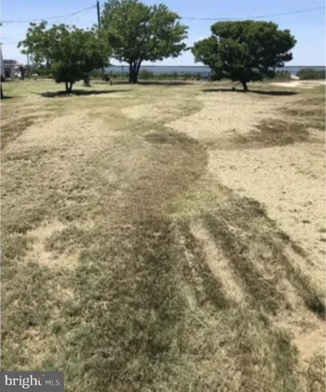 0.37 Acres of Land for Sale in TYLERTON, MD - Tylerton, Maryland, 21866