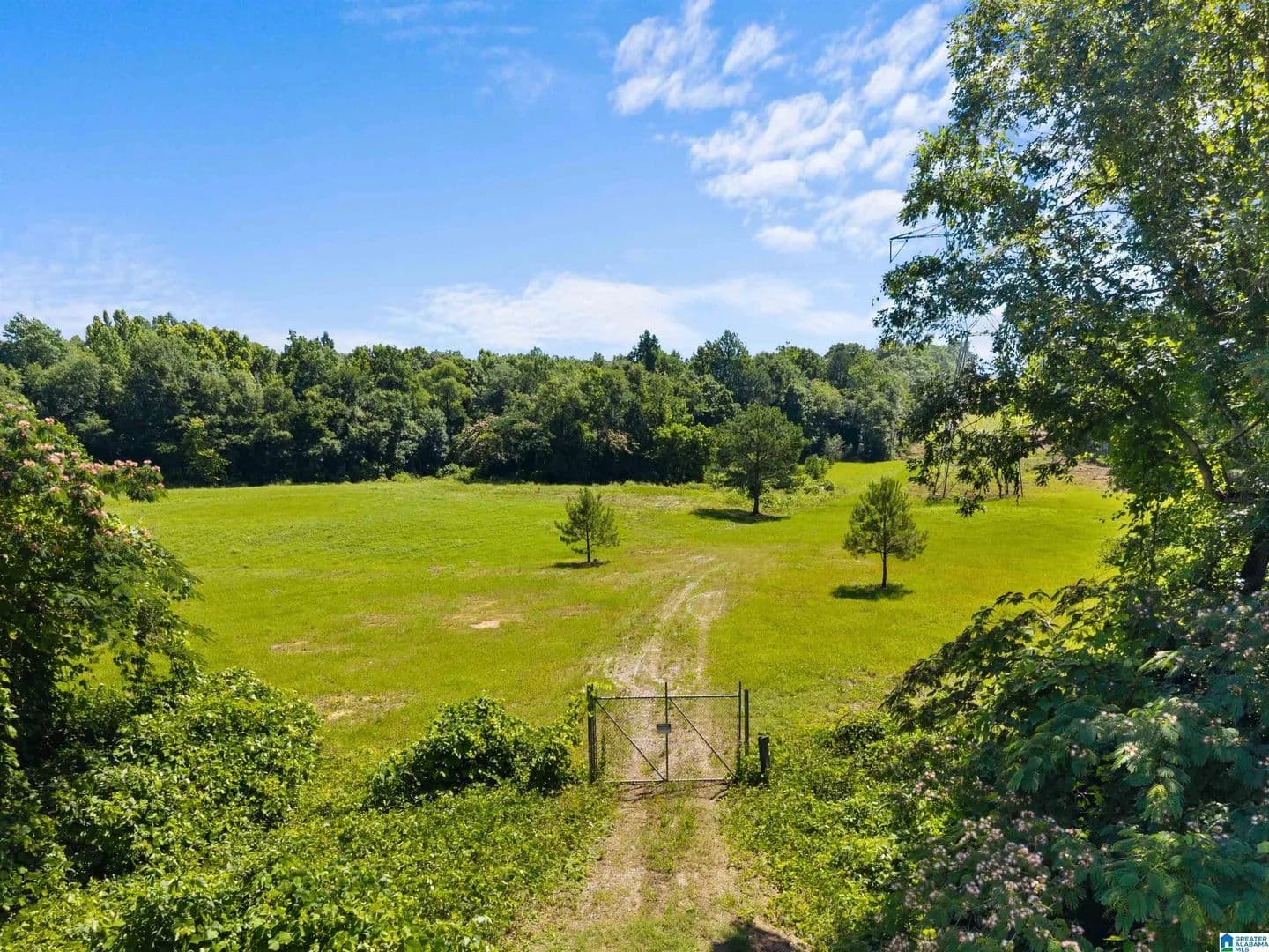 Property from 7240 POCAHONTAS ROAD #Lot 1 - KW - Bessemer, Alabama, 35022