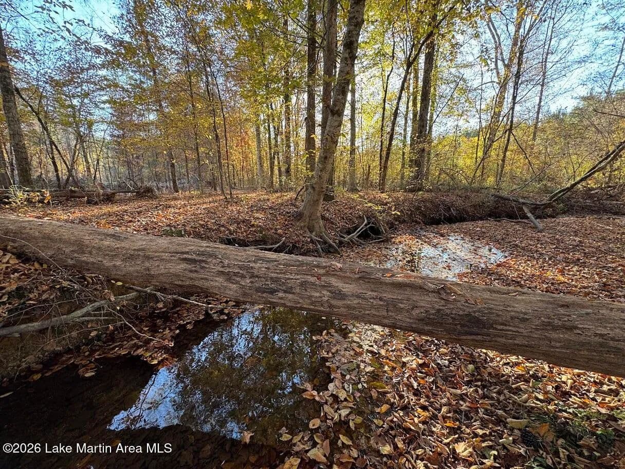Property from 0 Germany's Ferry Rd - KW - Daviston, Alabama, 36256