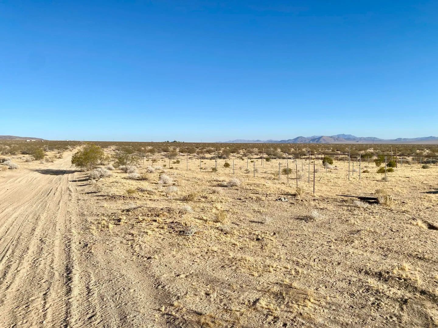 Property from 104 Joshua Tree Road - KW - Johnson Valley, California, 92285