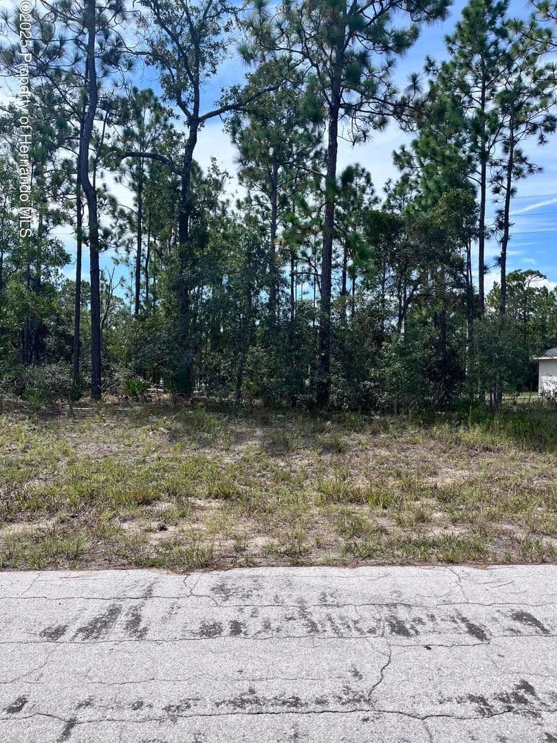 Lots & Land-Other in Citrus Springs - Citrus Springs, Florida, 00000
