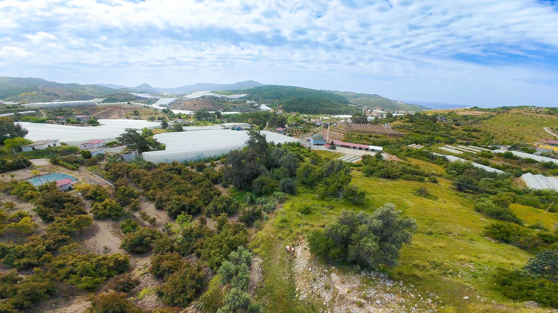 ALANYA YEŞİLÖZ' DE 1.501 m2 DENİZ MANZARALI KÖYİÇİ İMARLI - Turkey