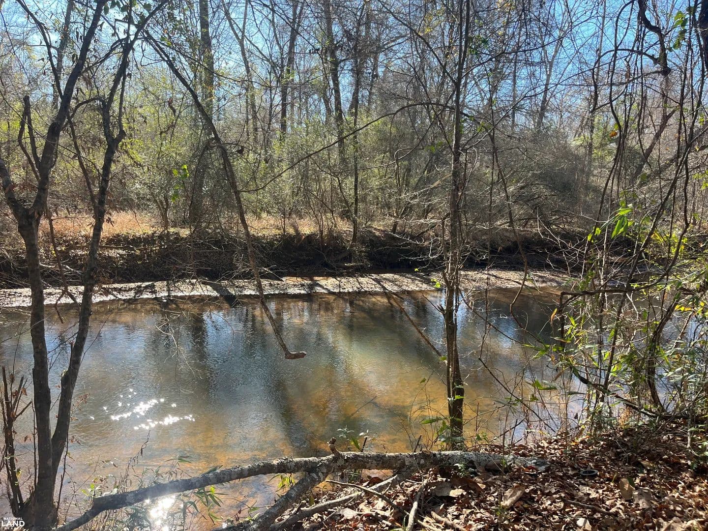 Limestone Creek Hunting and Recreation Investment - Monroeville, Alabama, 36460