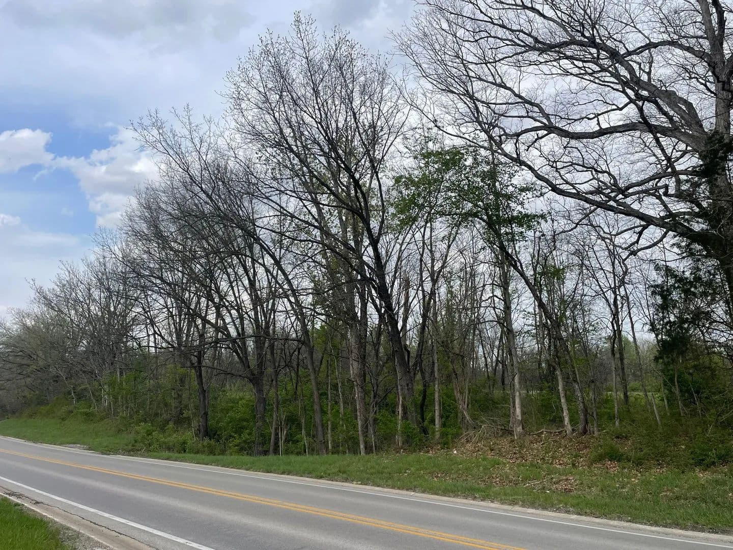 Vacant Land (0-10 Acres) in Greenup - Greenup, Illinois, 62428