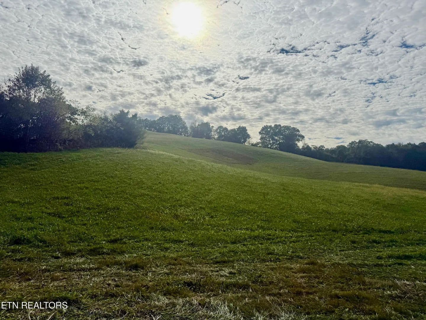 Property from HARMON Rd - KW - New Tazewell, Tennessee, 37825