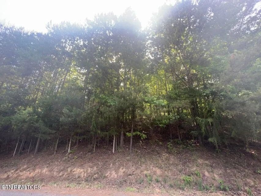 Property from 123 Hilty Head Lane - KW - , Tennessee, 37766